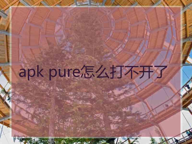 apk pure怎么打不开了