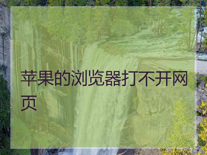 苹果的浏览器打不开网页