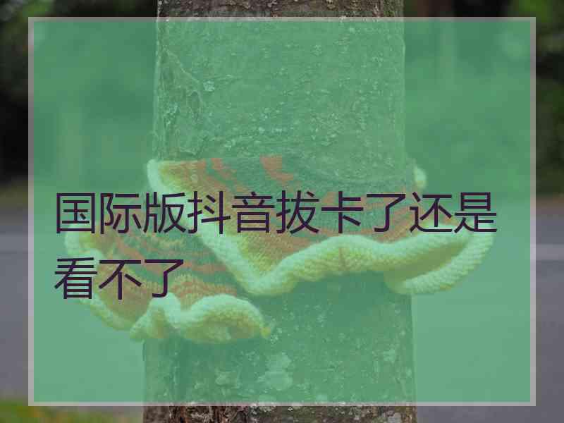 国际版抖音拔卡了还是看不了