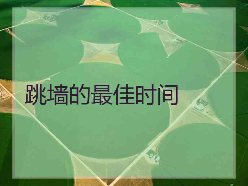跳墙的最佳时间