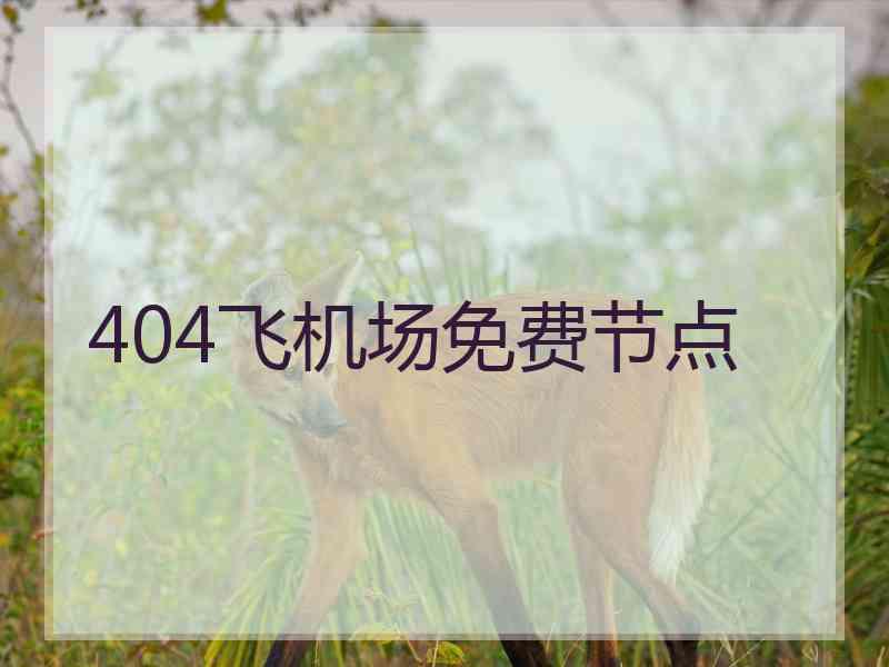 404飞机场免费节点