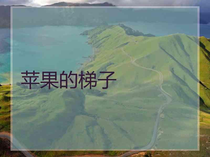 苹果的梯子