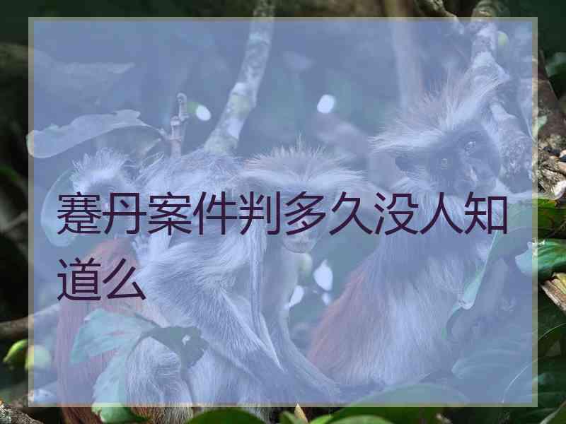 蹇丹案件判多久没人知道么