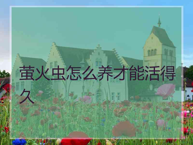 萤火虫怎么养才能活得久