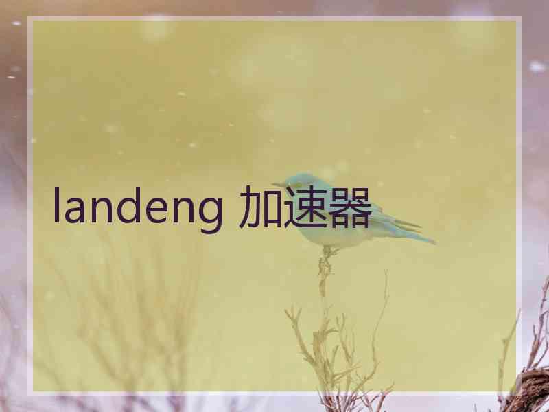 landeng 加速器