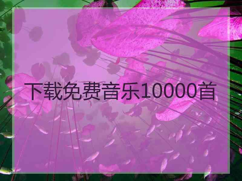 下载免费音乐10000首