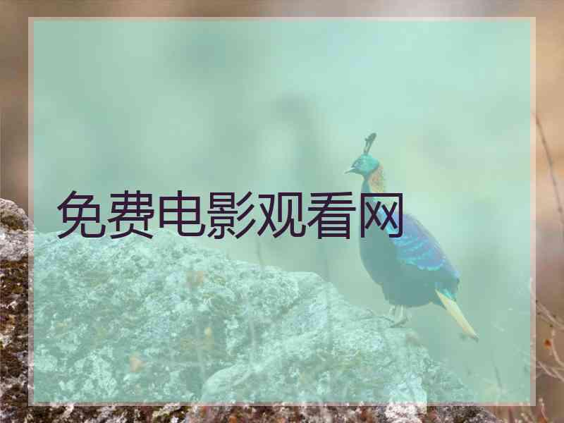 免费电影观看网