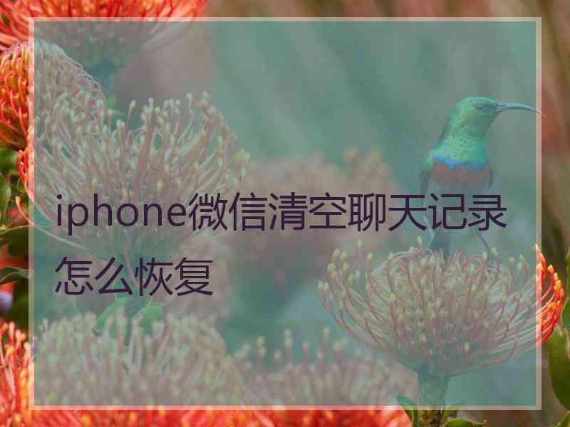 iphone微信清空聊天记录怎么恢复