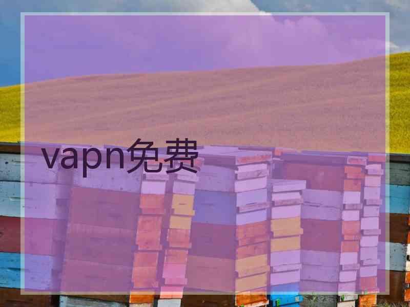 vapn免费
