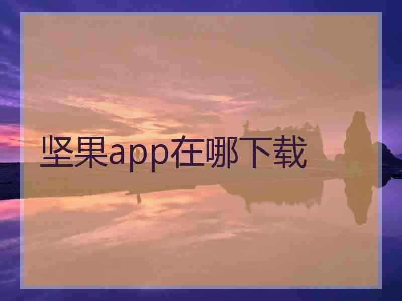坚果app在哪下载