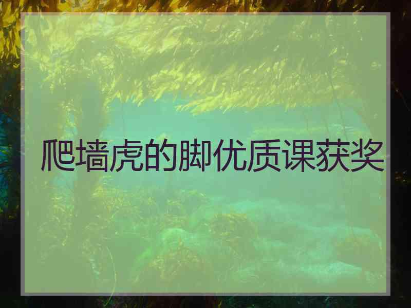 爬墙虎的脚优质课获奖