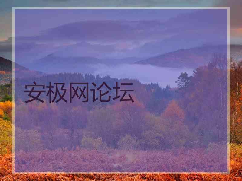 安极网论坛