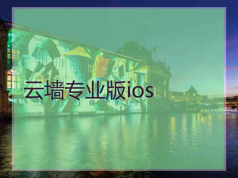 云墙专业版ios