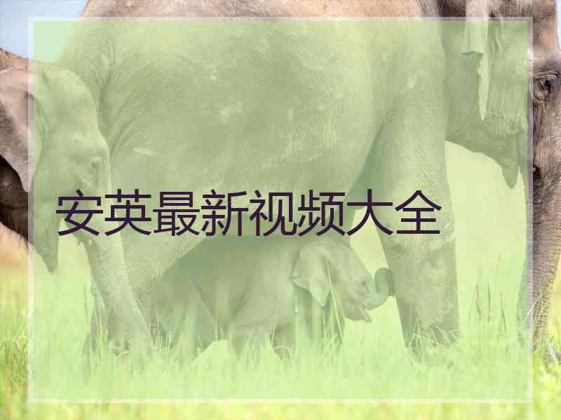 安英最新视频大全