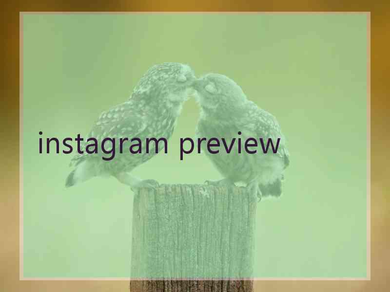 instagram preview