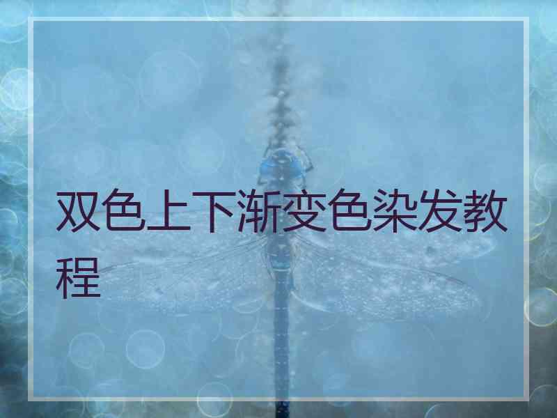双色上下渐变色染发教程