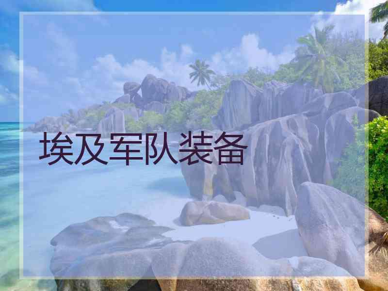 埃及军队装备
