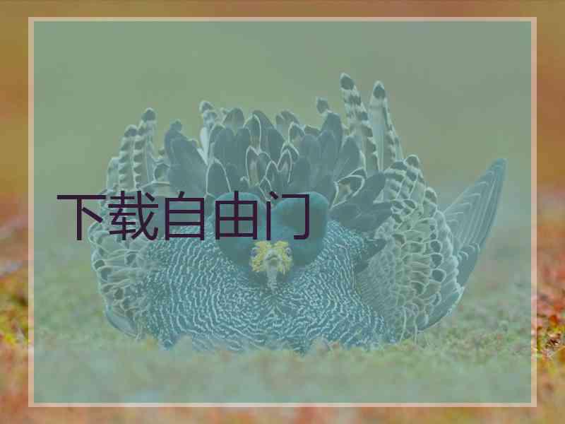 下载自由门