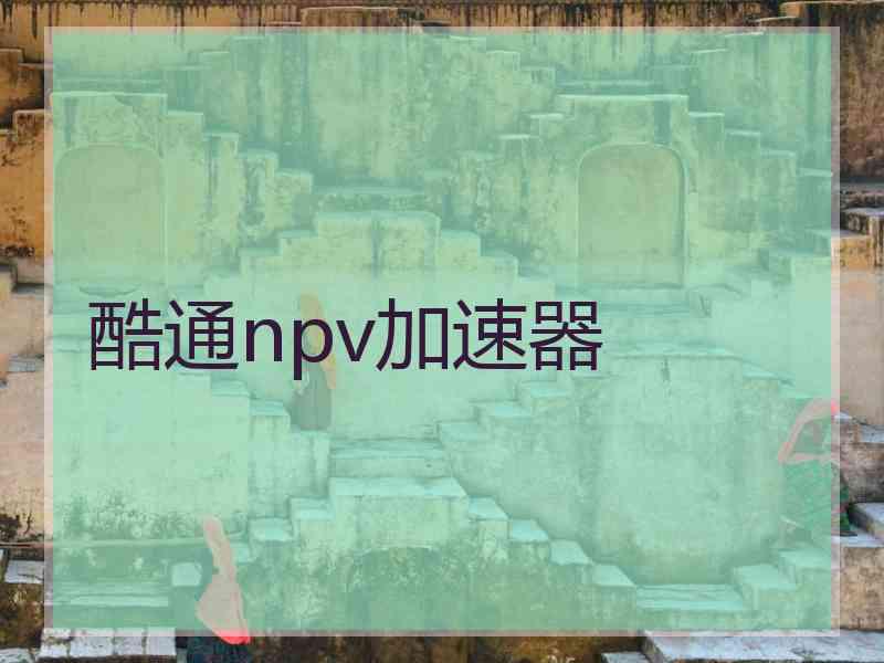酷通npv加速器