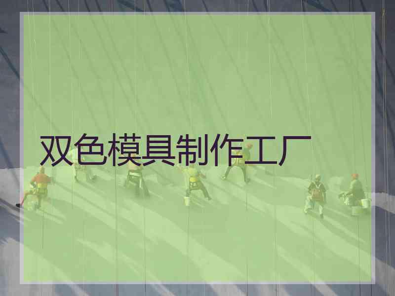 双色模具制作工厂