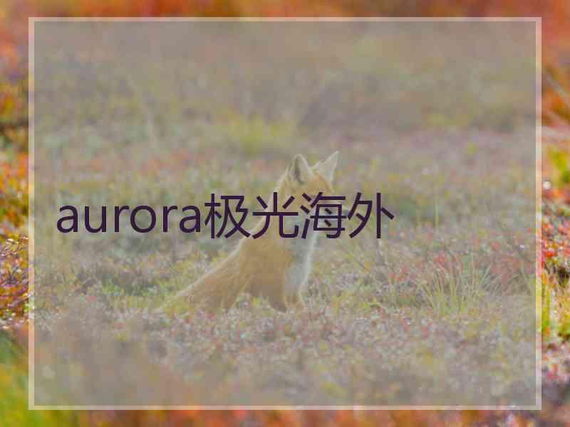 aurora极光海外