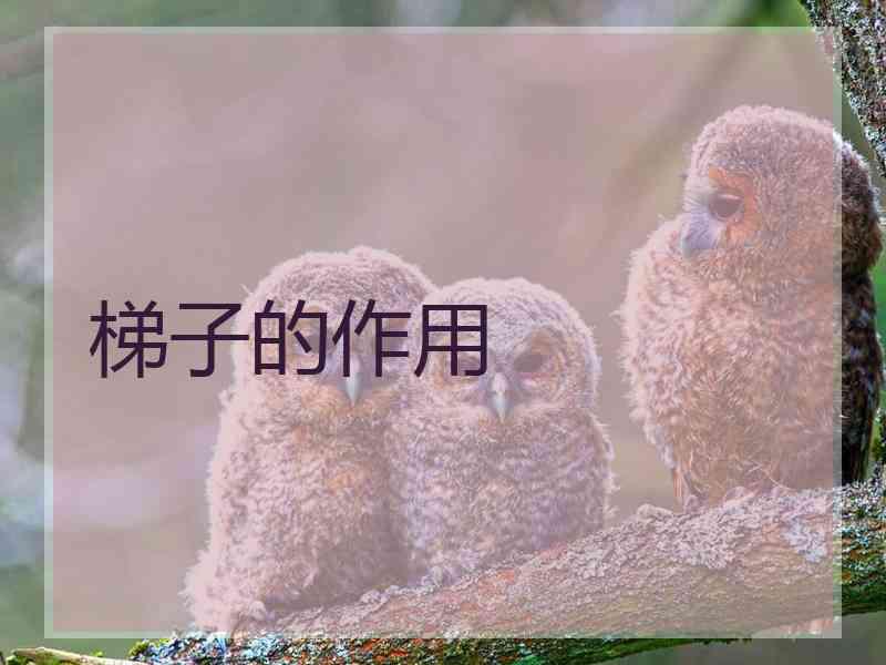 梯子的作用