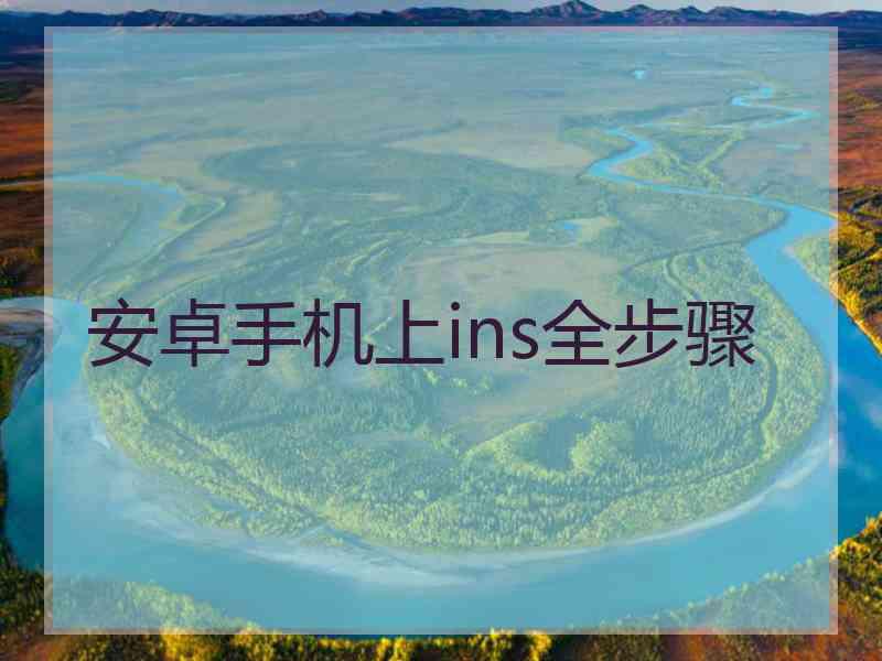 安卓手机上ins全步骤