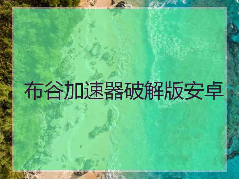 布谷加速器破解版安卓