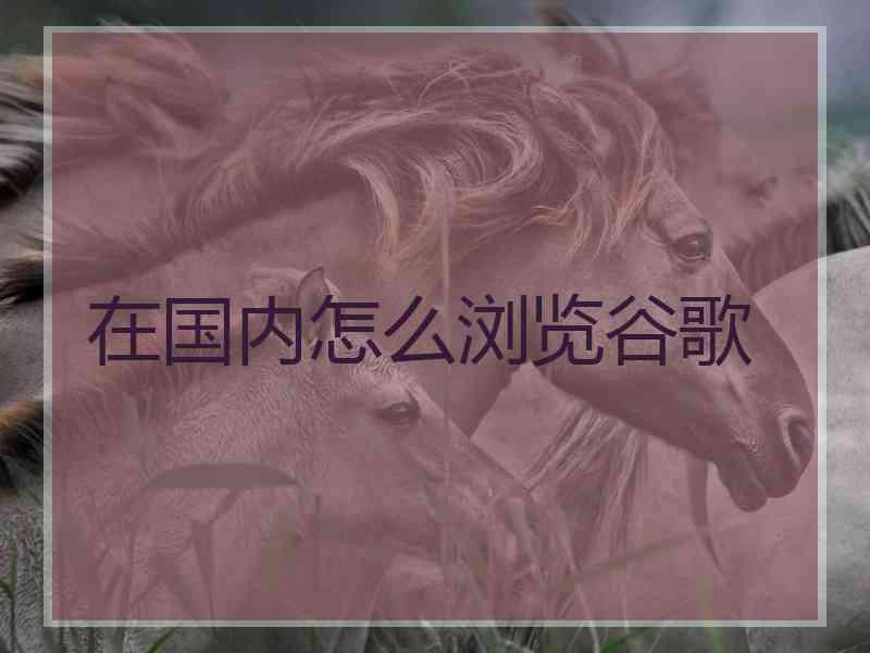 在国内怎么浏览谷歌