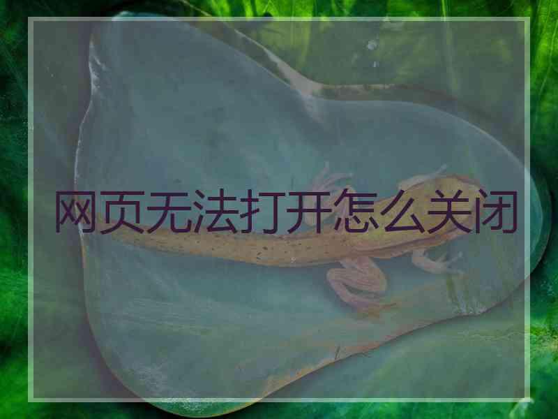 网页无法打开怎么关闭