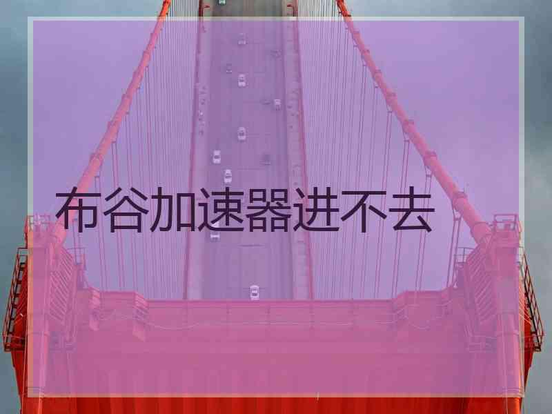 布谷加速器进不去