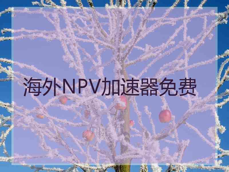 海外NPV加速器免费
