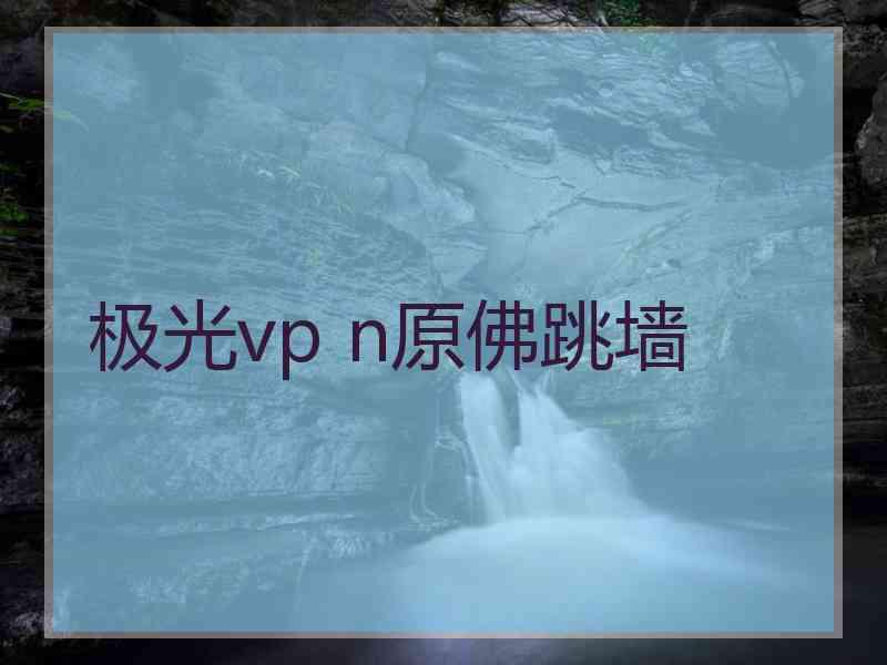 极光vp n原佛跳墙