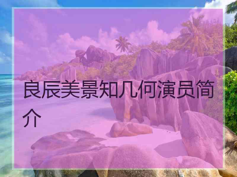 良辰美景知几何演员简介