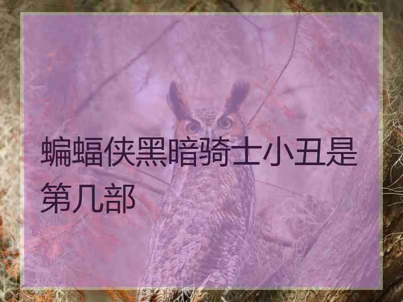 蝙蝠侠黑暗骑士小丑是第几部
