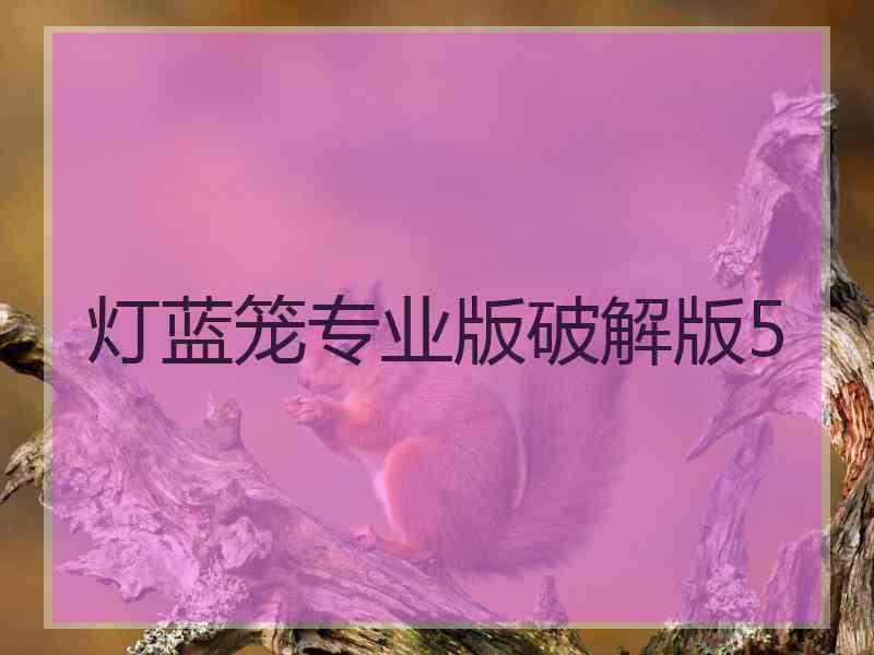 灯蓝笼专业版破解版5