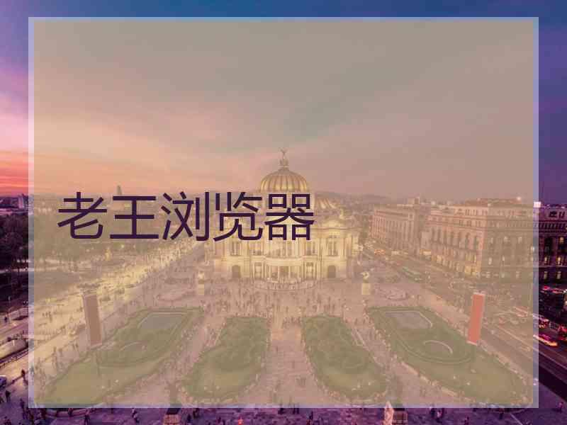 老王浏览器