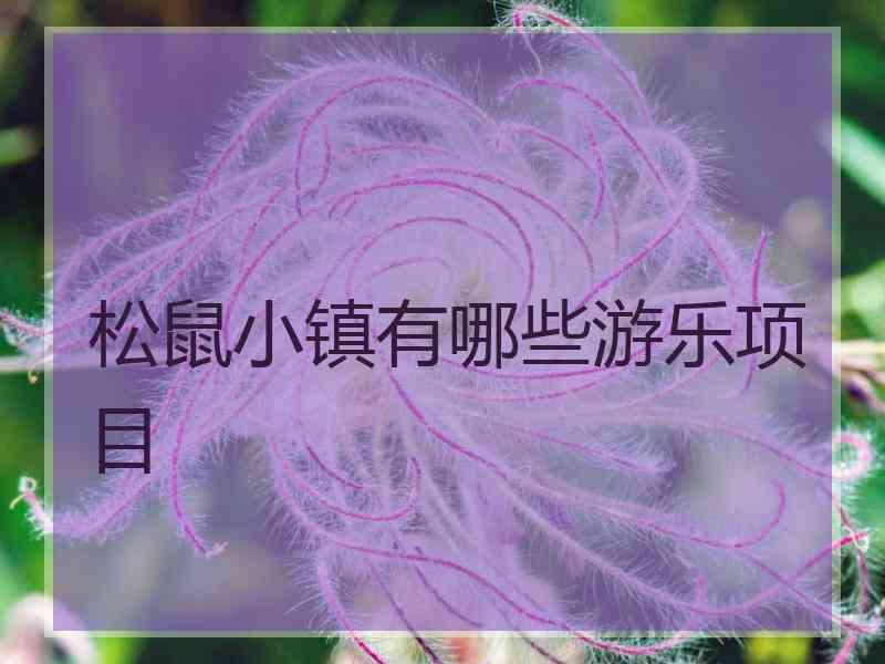 松鼠小镇有哪些游乐项目