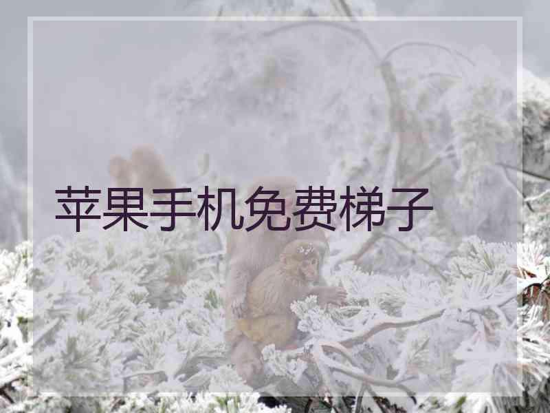 苹果手机免费梯子