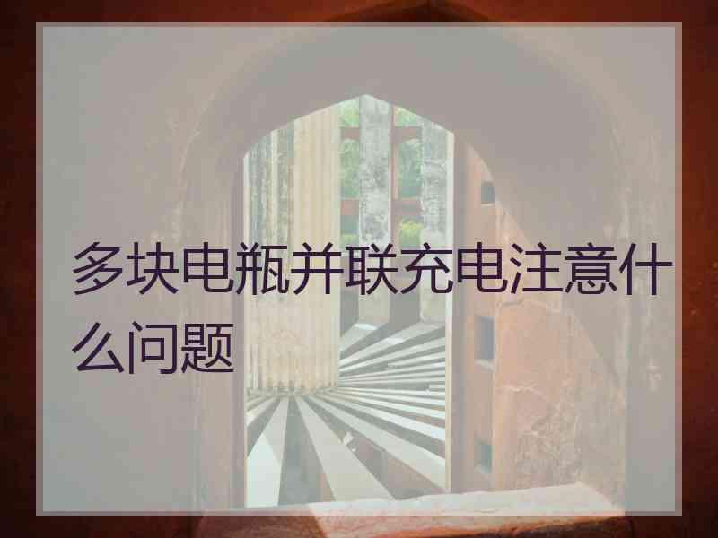 多块电瓶并联充电注意什么问题