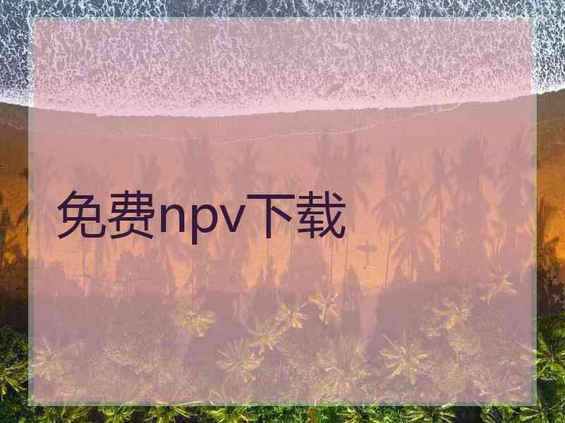 免费npv下载