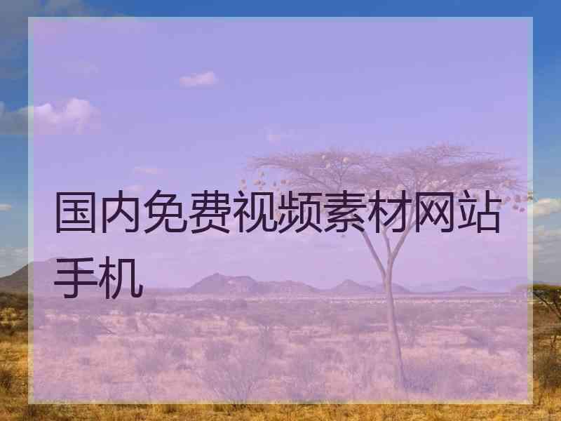 国内免费视频素材网站手机