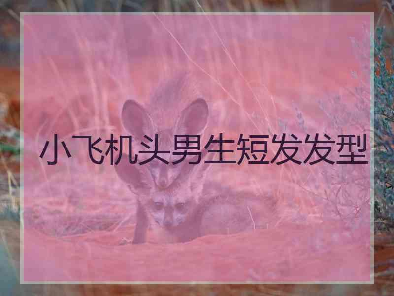 小飞机头男生短发发型