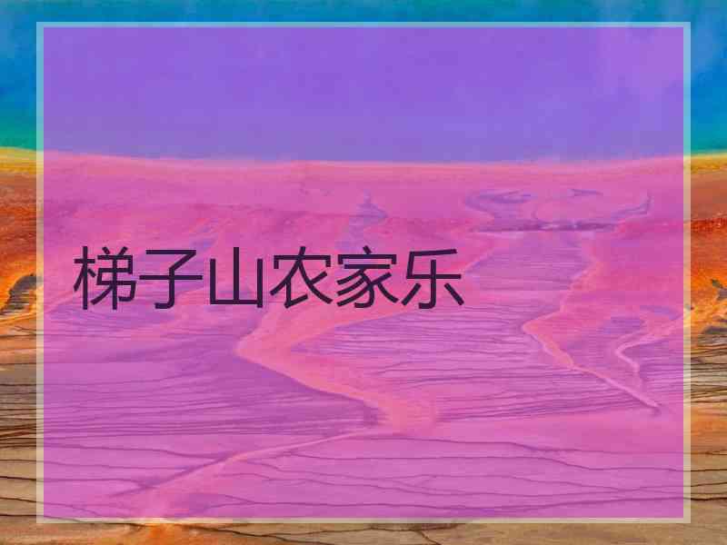 梯子山农家乐