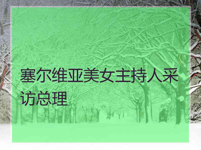 塞尔维亚美女主持人采访总理