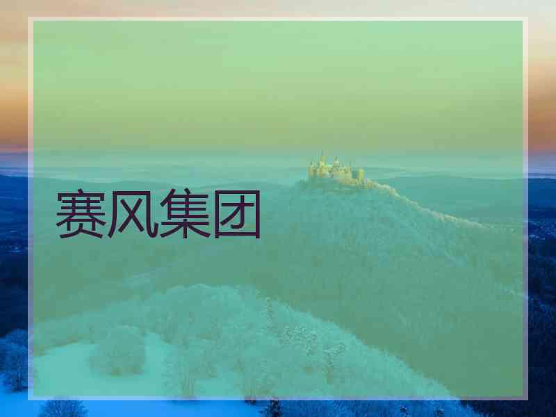 赛风集团