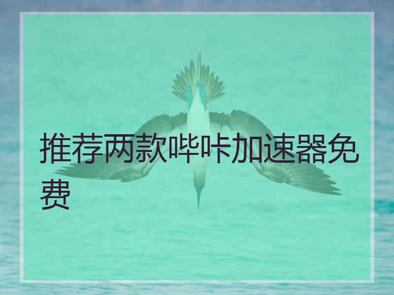 推荐两款哔咔加速器免费