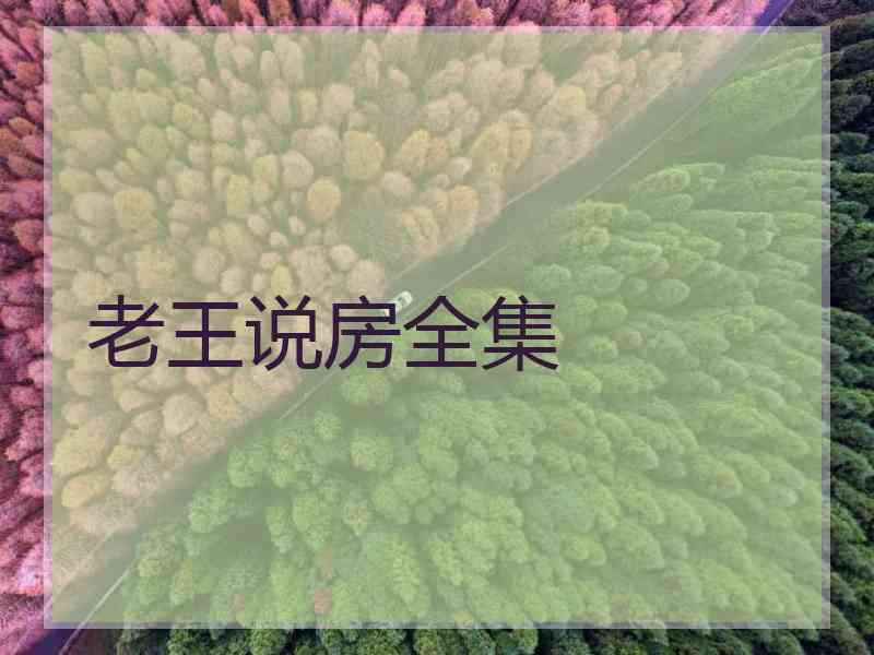 老王说房全集