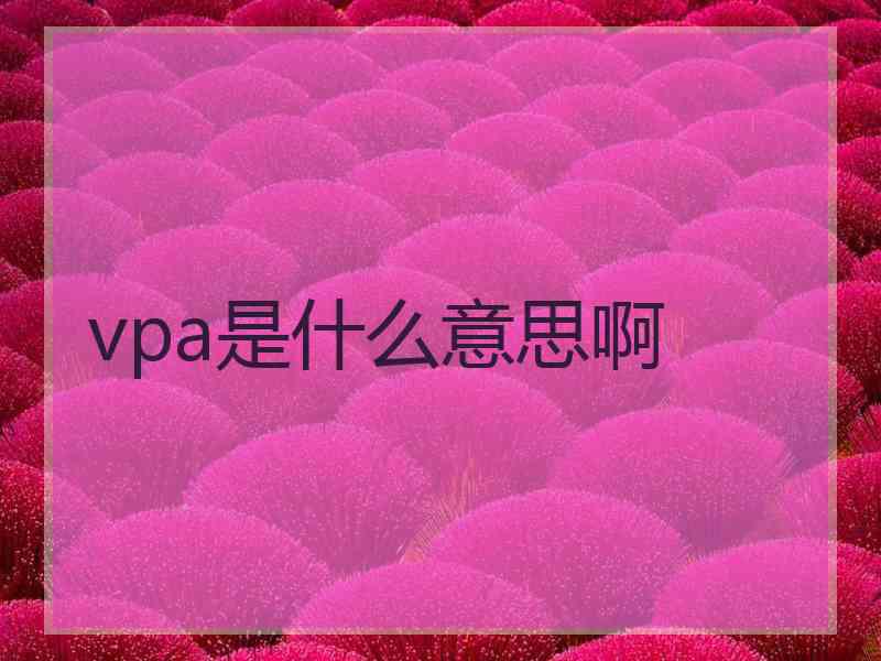 vpa是什么意思啊
