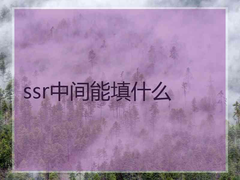 ssr中间能填什么